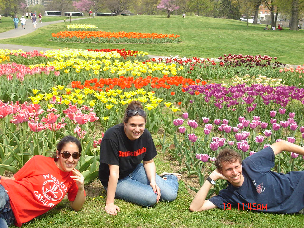 WTWoodson Tulips