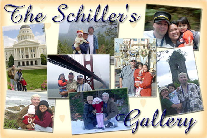 The Schiller's Gallery