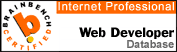 Internet Professional with a concentration in database