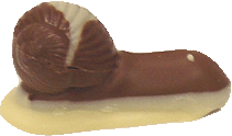 White coffee ganache coated in white and dark chocolate in a snail shell