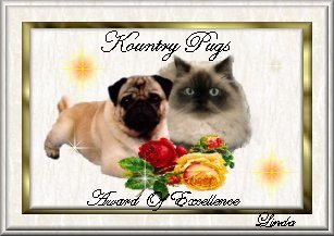 Linda's Kountry Pugs - 11/5/99