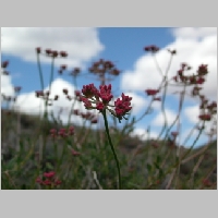 DSCN3388.JPG