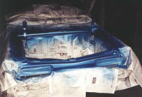 Trunk (Stage 1)