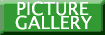 PICTURE GALLERY