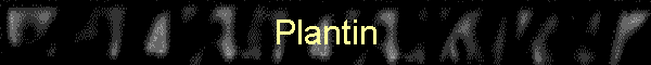 Plantin