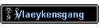 Vlaeykensgang