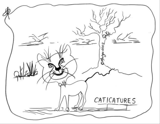 [CATICATURE]