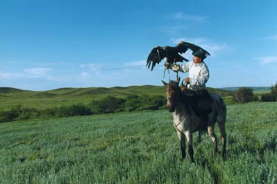 eagle hunting 
