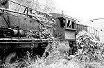 SY 1435 has literally been put out to pasture