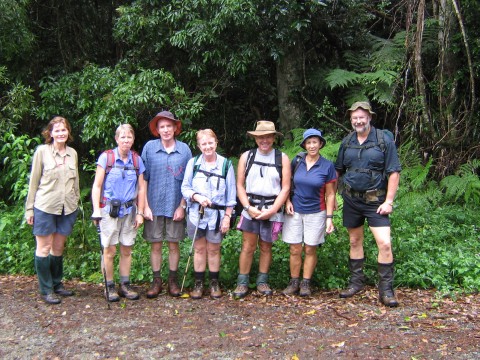 Lepidozamia Track