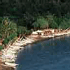 The Beach