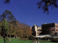 Macquarie Uni, Sydney