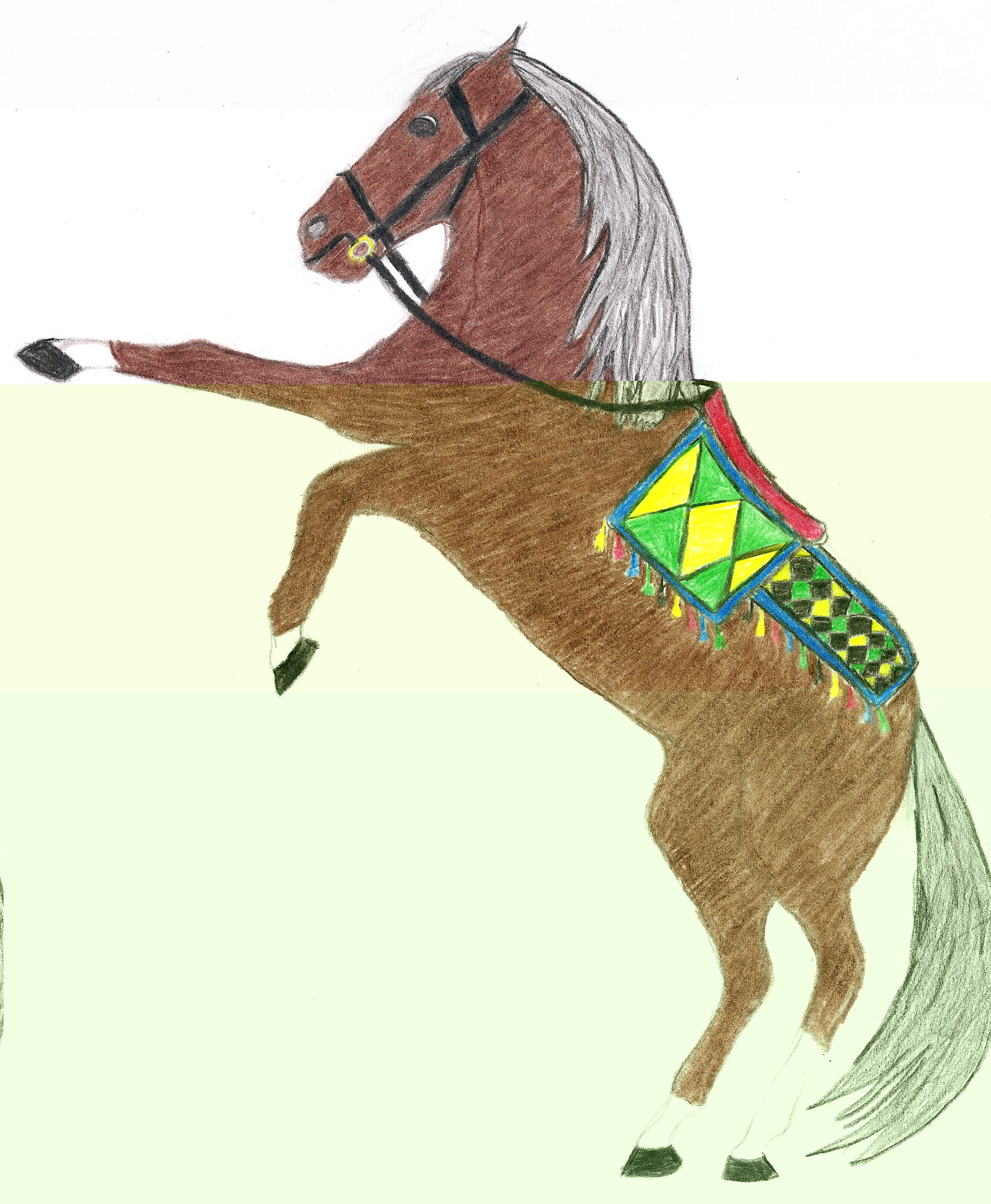 Danielle drew this
 horse!