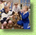 Quantock School: You must remember this vicious brute (or variant) AKA 'Starsky' ... woof ... woof ..! 