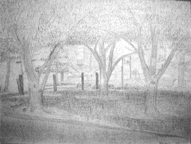 [Final Project]