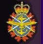 militarycrest.jpg