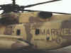 ch53bodyart04.jpg (56766 bytes)