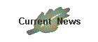 Current  News
