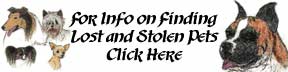 Dulcie's Lost, Missing and Stolen Pets Information 