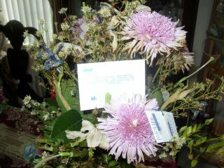 click to see larger image