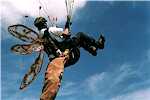 Unexpected Flying Objets