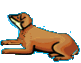sign of the dog