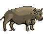 sign of the ox