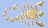 sign of the scorpio