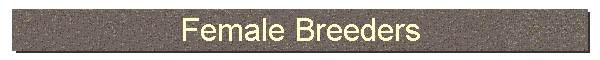 Female Breeders