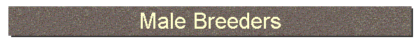 Male Breeders