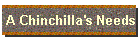 A Chinchilla's Needs