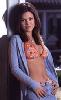 rachel_bilson_bikini1.jpg 2.5K
