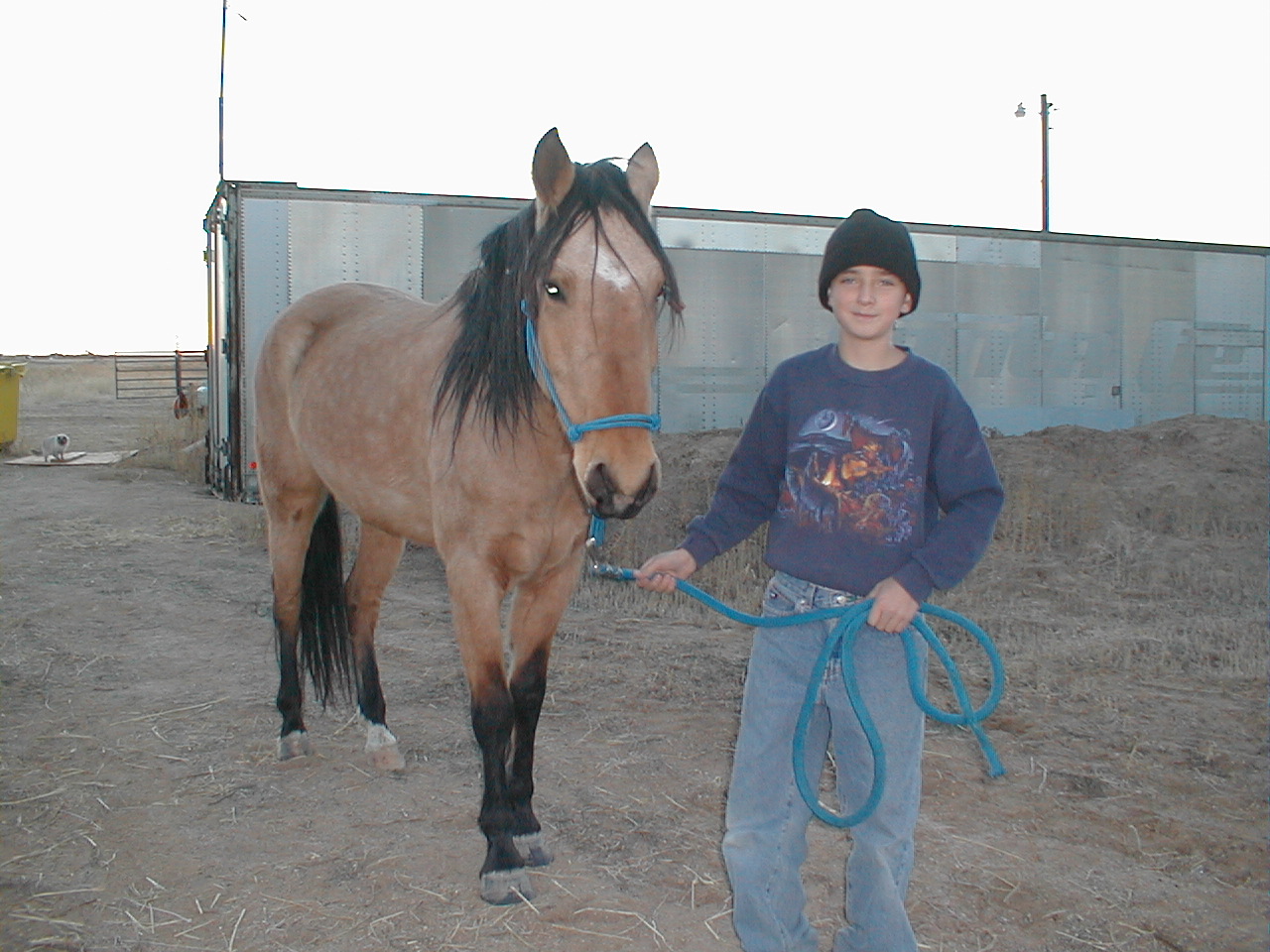 Hey...he's actually doing something with his horse....