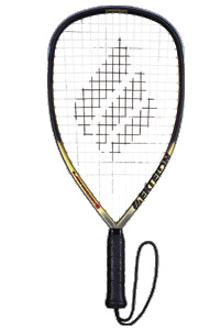 Ripstick.jpg(14745 bytes)