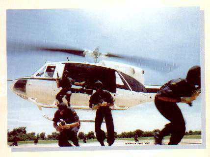 cop.jpg (38323 bytes)