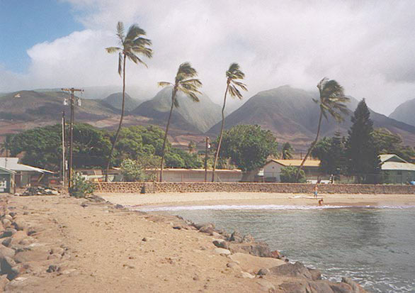 Lahaina Beach near Harbor...