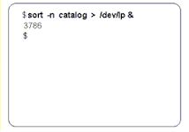background sort