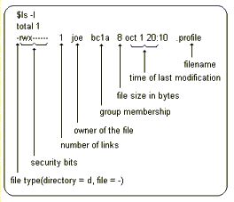 listing files using ls