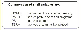 common shell variables