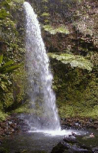 Penrice falls