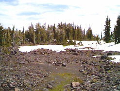Alpine volcanic steppe