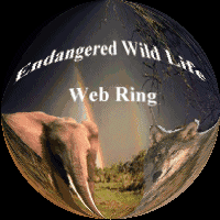 Endangered Wildlife 
Webring