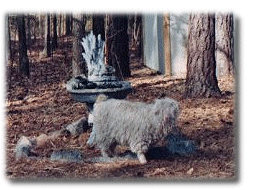 Chloe at the Fountain 3/00