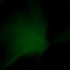 Tile 2