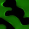 Tile 5