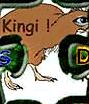 Contact Kingi