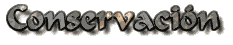 REPTILES - CONSERVACIN