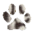 Information