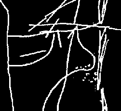 lion like figure