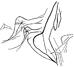 female figure from Lalinde
